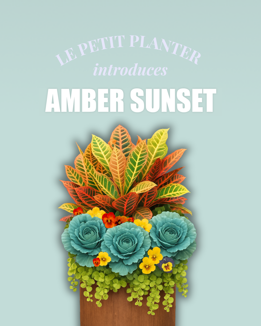 Your Fall Le Petit Insert