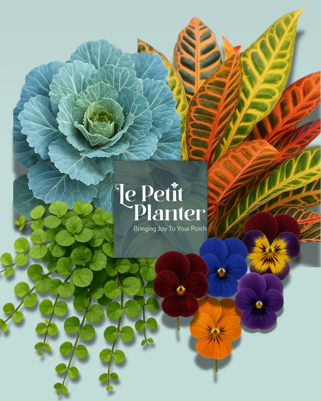 Your Fall Le Petit Insert