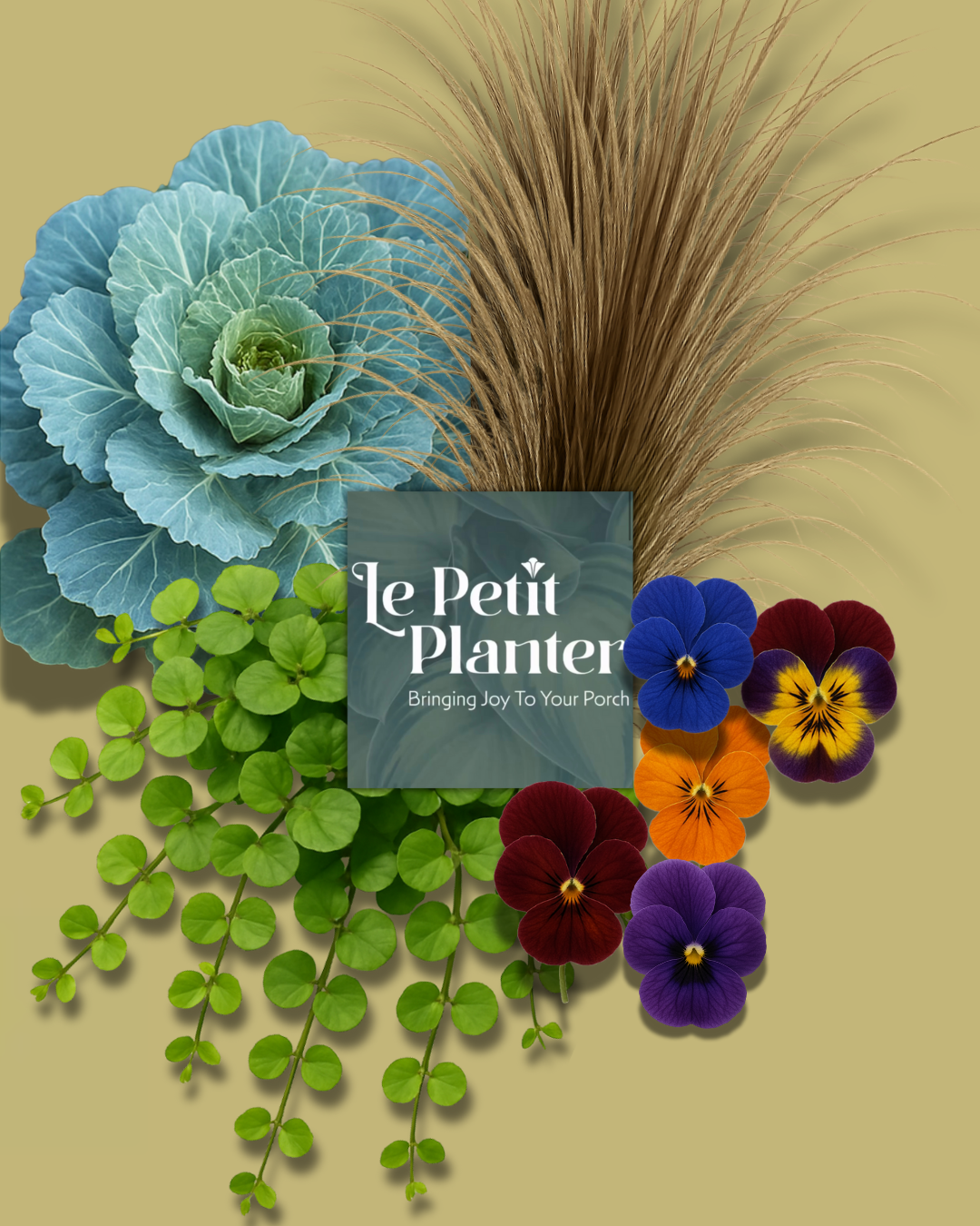 Your Fall Le Petit Insert