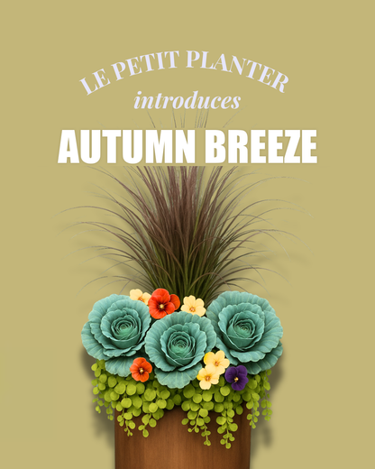 Your Fall Le Petit Insert