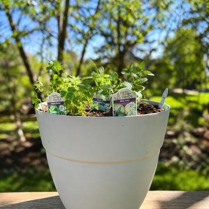 Herb Planter