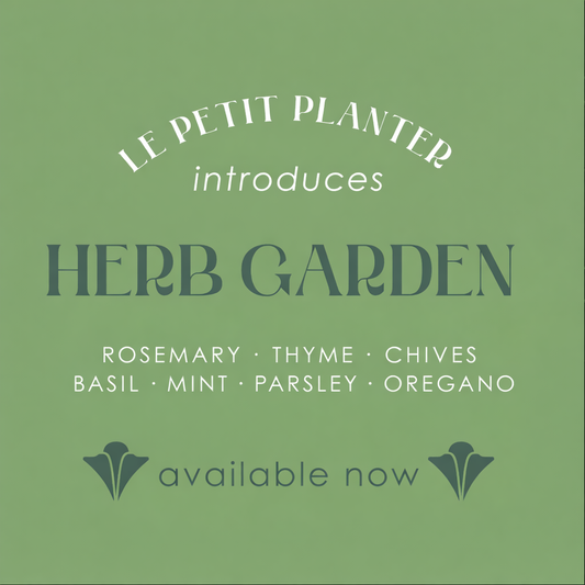 Herb Planter