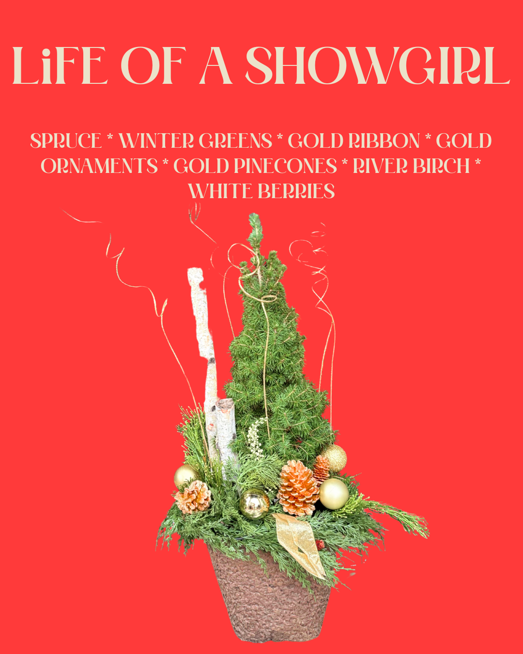 Your Winter Le Petit Insert