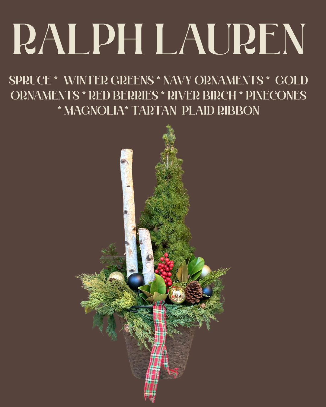 Your Winter Le Petit Insert