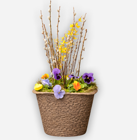 Your Spring Le Petit Insert