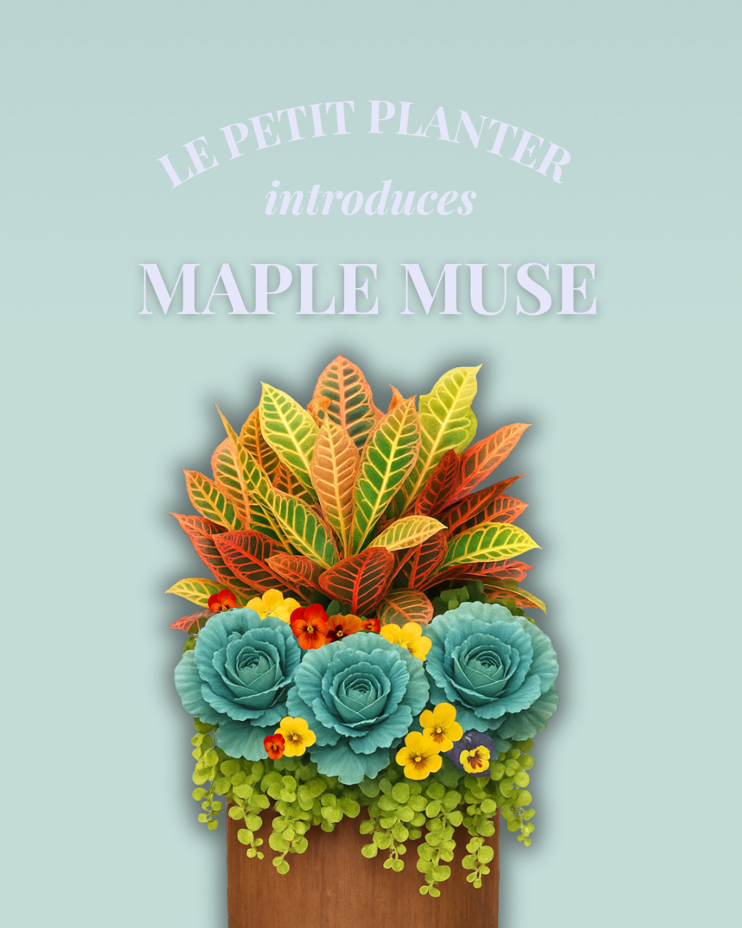 Your Fall Le Petit Insert