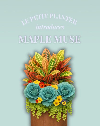 Your Fall Le Petit Insert